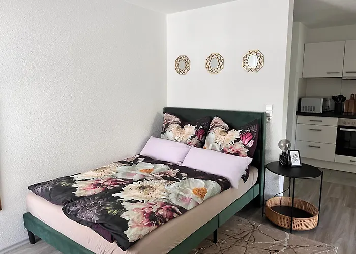 Am Klinikum, Naehe Europa Park Und Strasbourg, Zentrumsnah