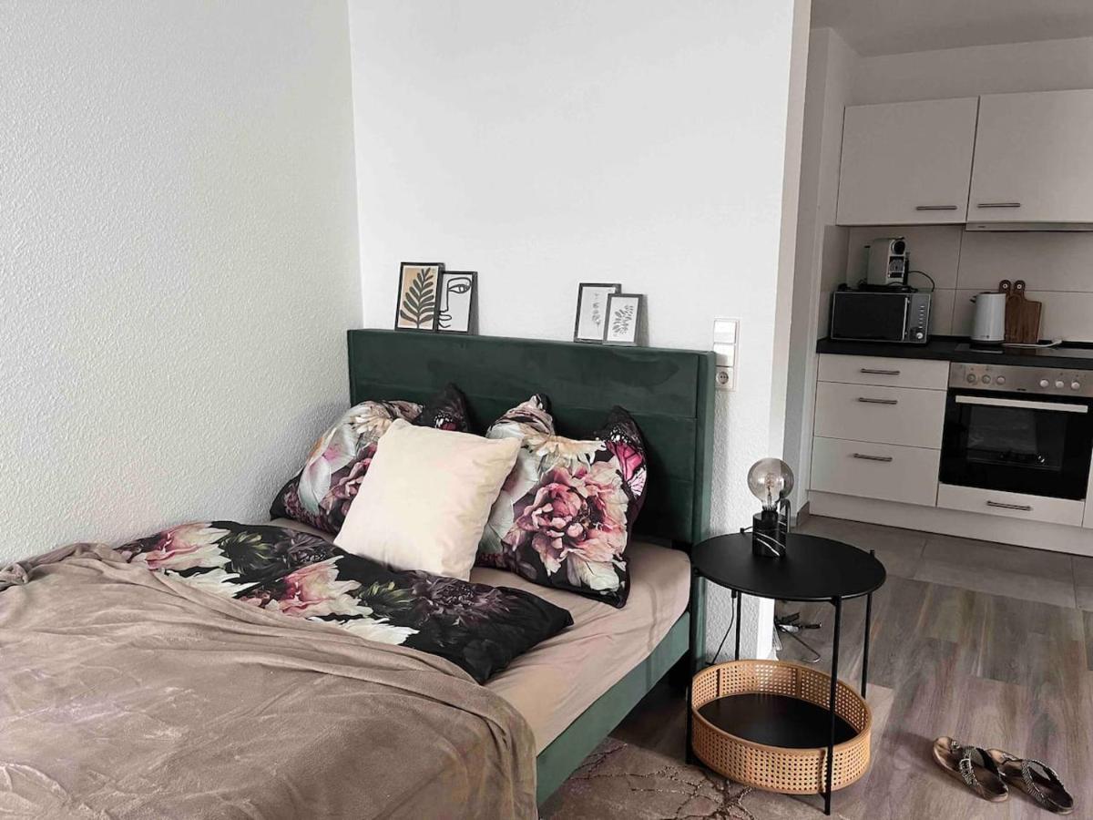 Apartment Am Klinikum, Naehe Europa Park Und Strasbourg, Zentrumsnah Offenburg