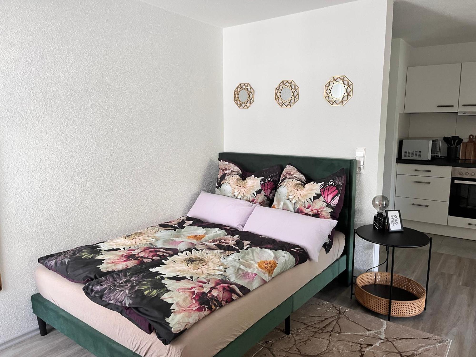 Apartment Am Klinikum, Naehe Europa Park Und Strasbourg, Zentrumsnah